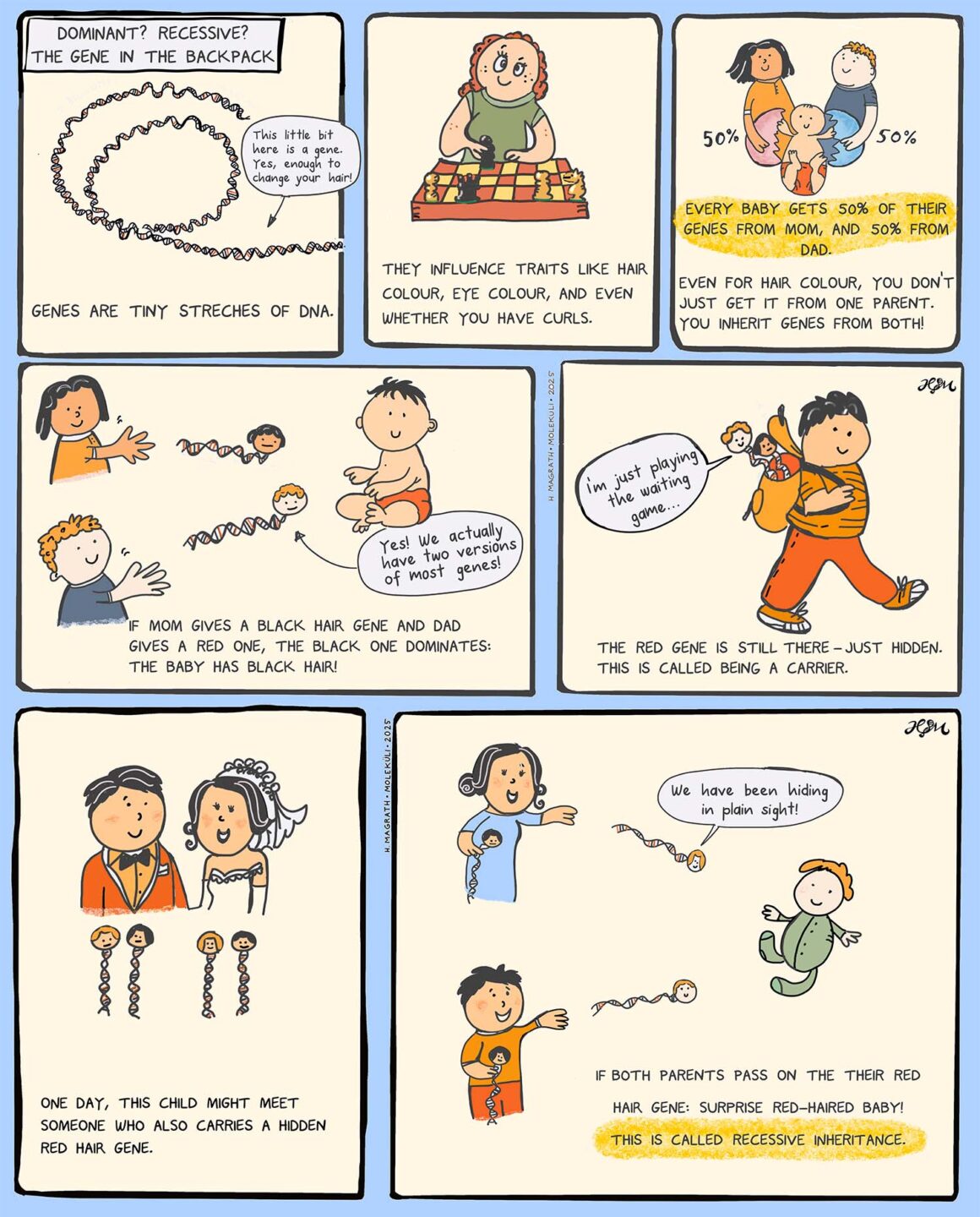 dominant recessive 1 2