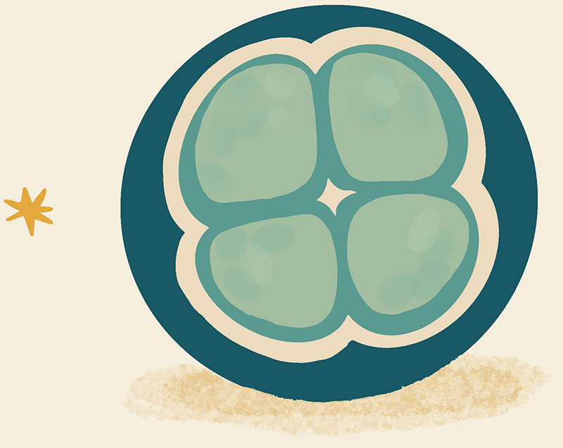 genetic diagnostics icon 3