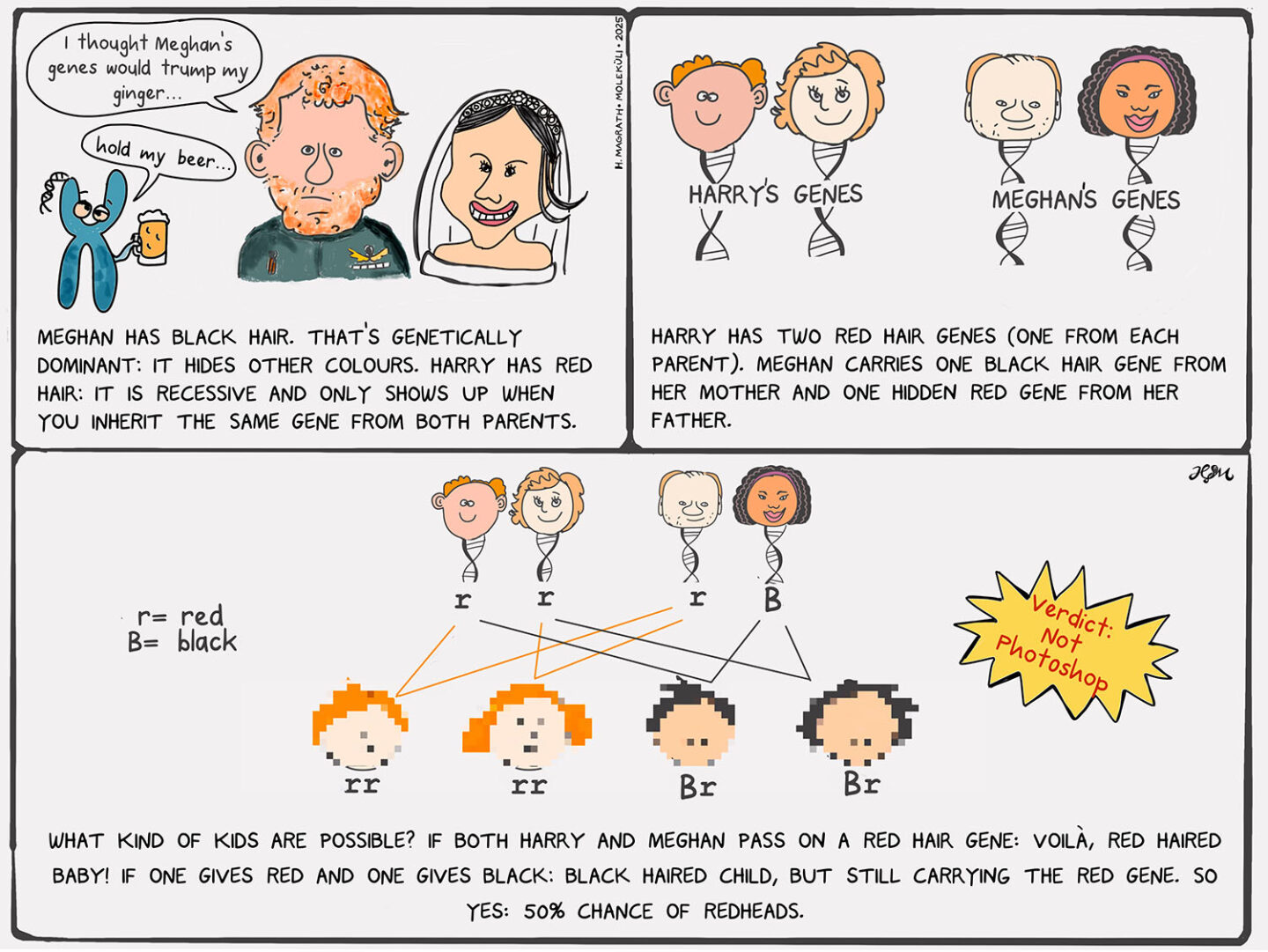 harry and meghan english