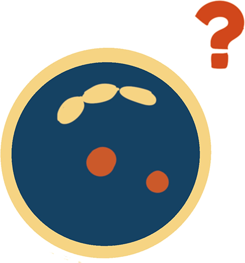 icon genetics for me