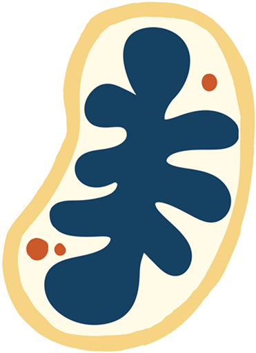 icon mitocondrial conditions