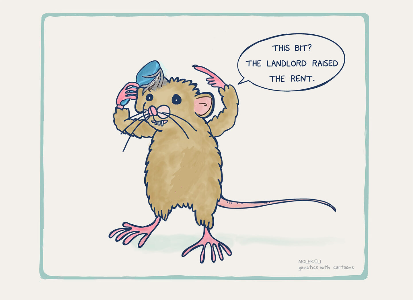 this bit the landlord raised the rent