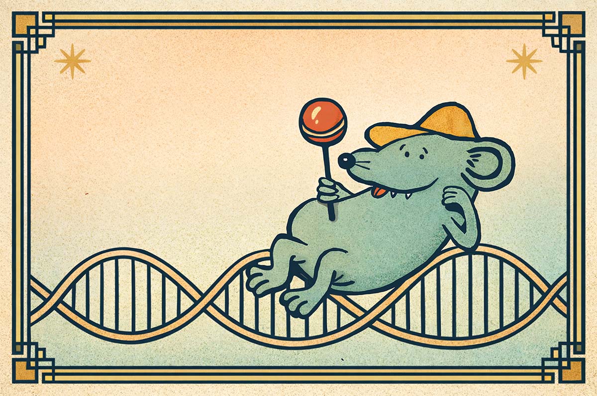 moleküli magazine mouse with lollipop illustration