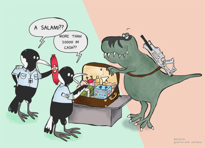 polygenic risk salami