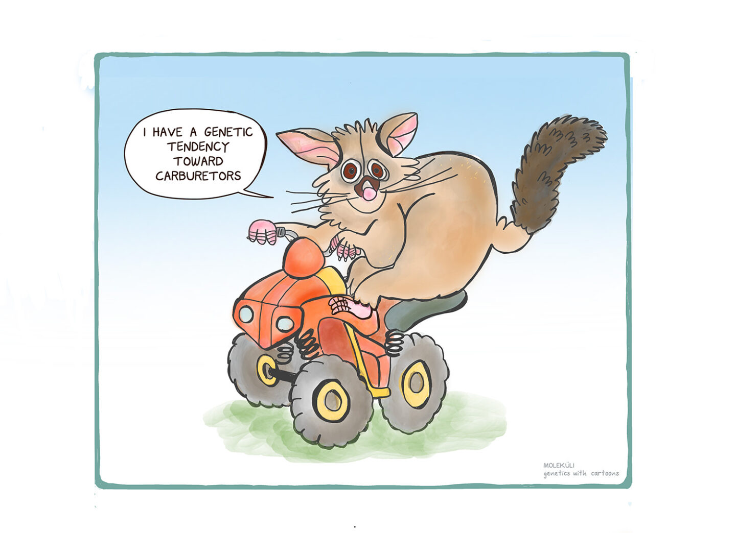 possum on a quad bike