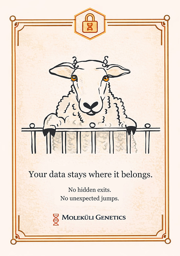 rimbaud privacy policy