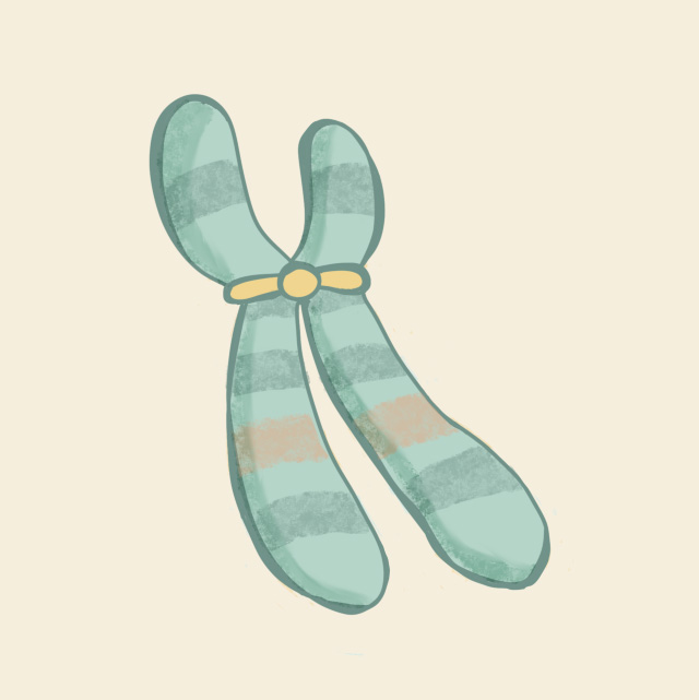second opinion molecule illustration