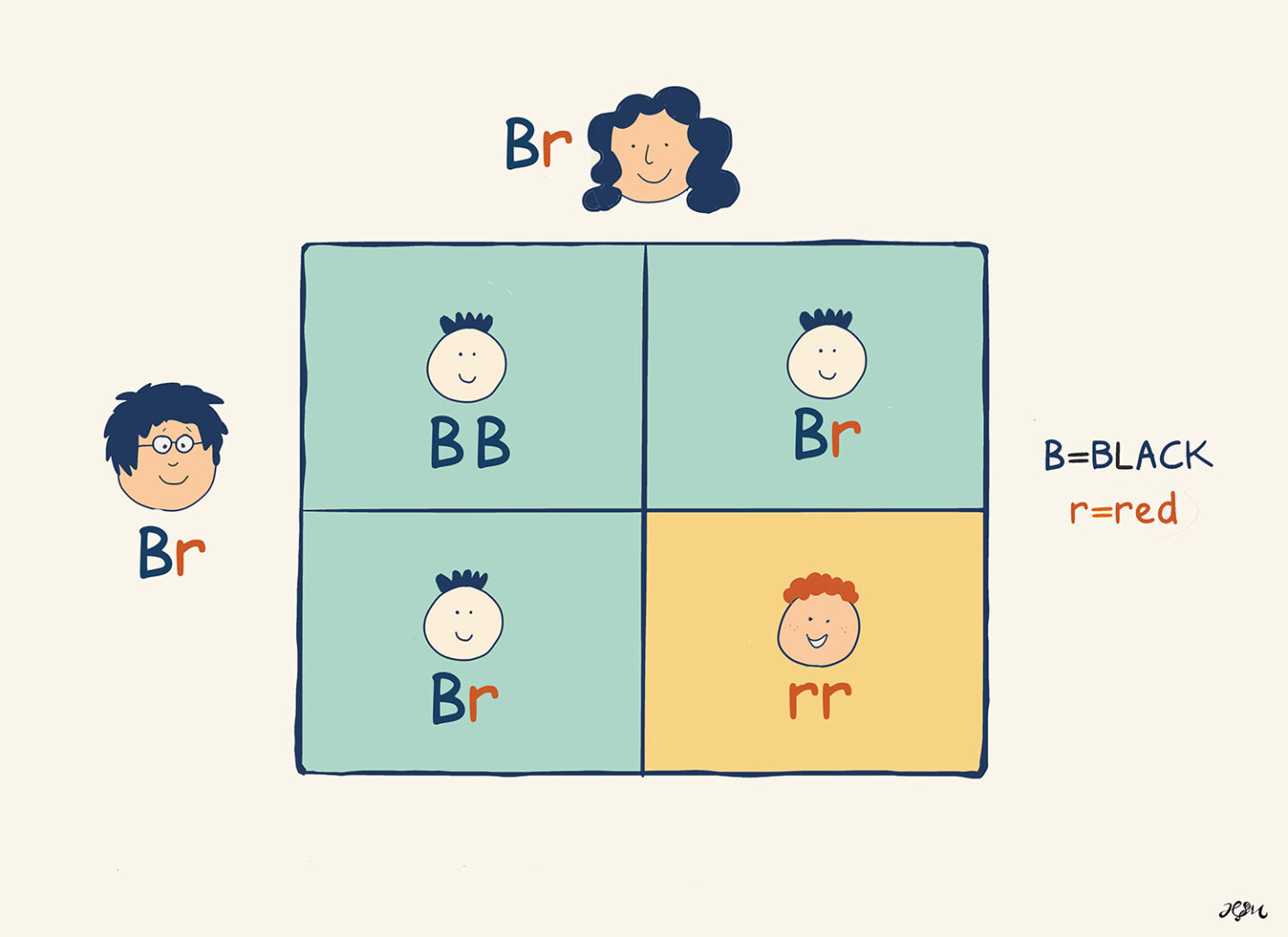 why does my kid have red hair